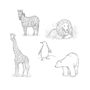 Zoo Review Stamp Set