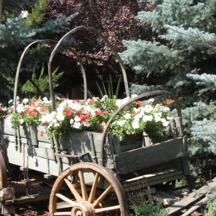 Flower Cart