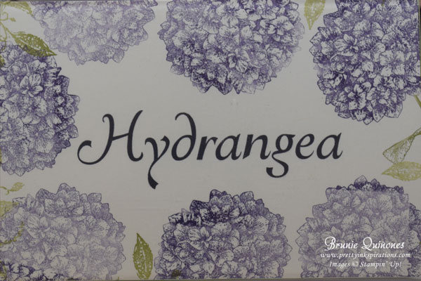 Wedding Table Name Frames - Hydrangea