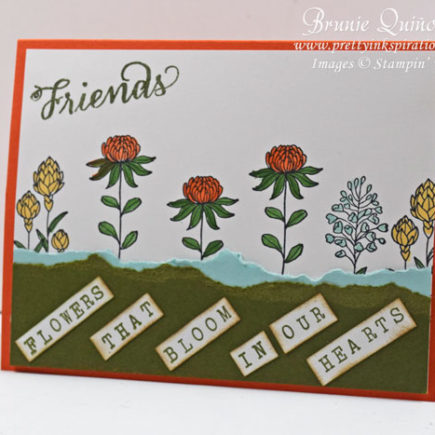 Flowering Fields & Alphabet Rotary