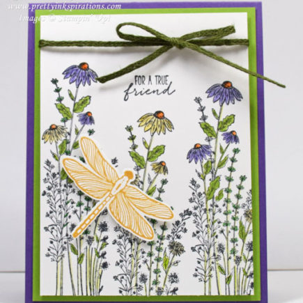 Dragonfly Garden Card